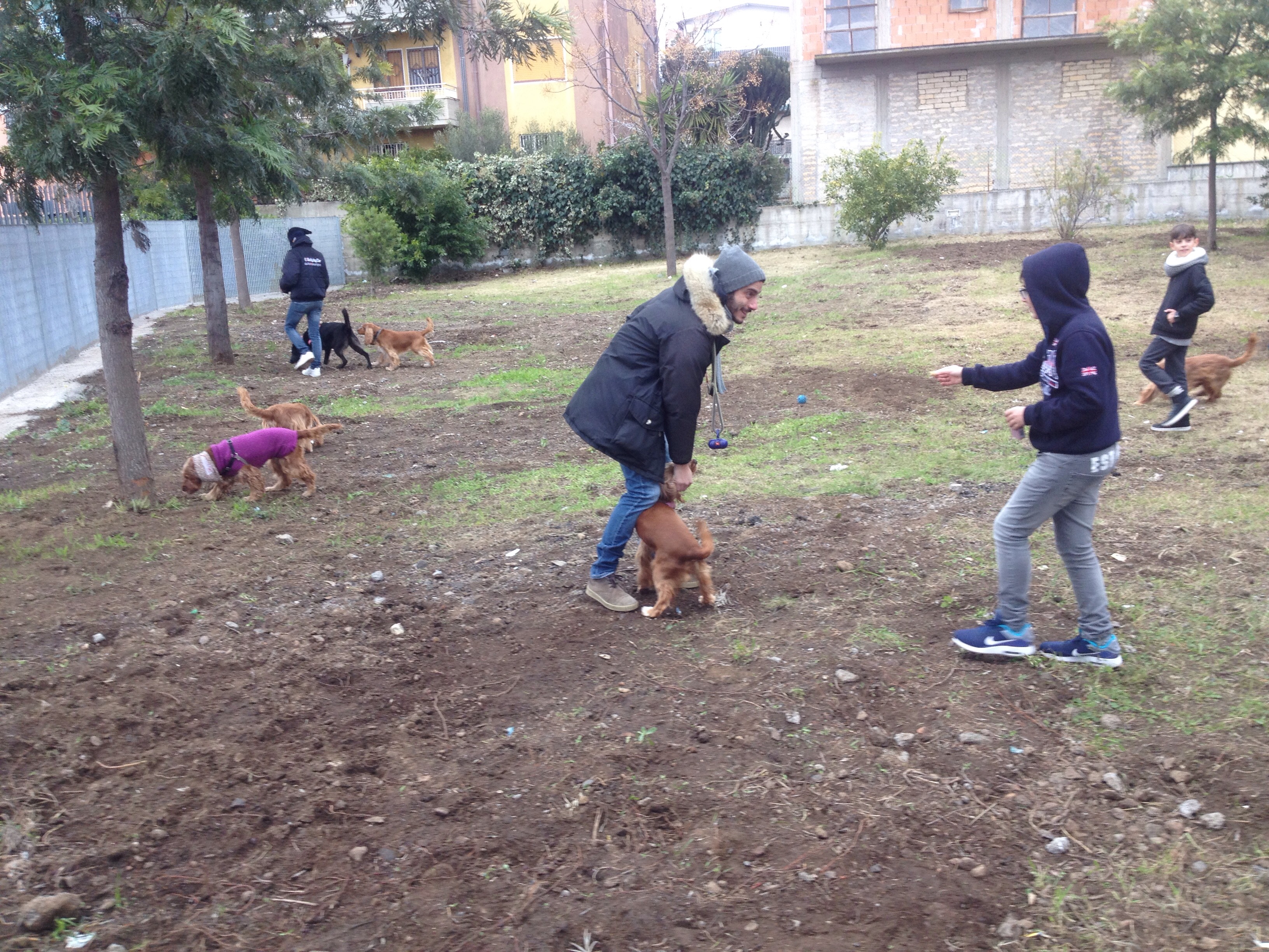 area sgambatura cani interno