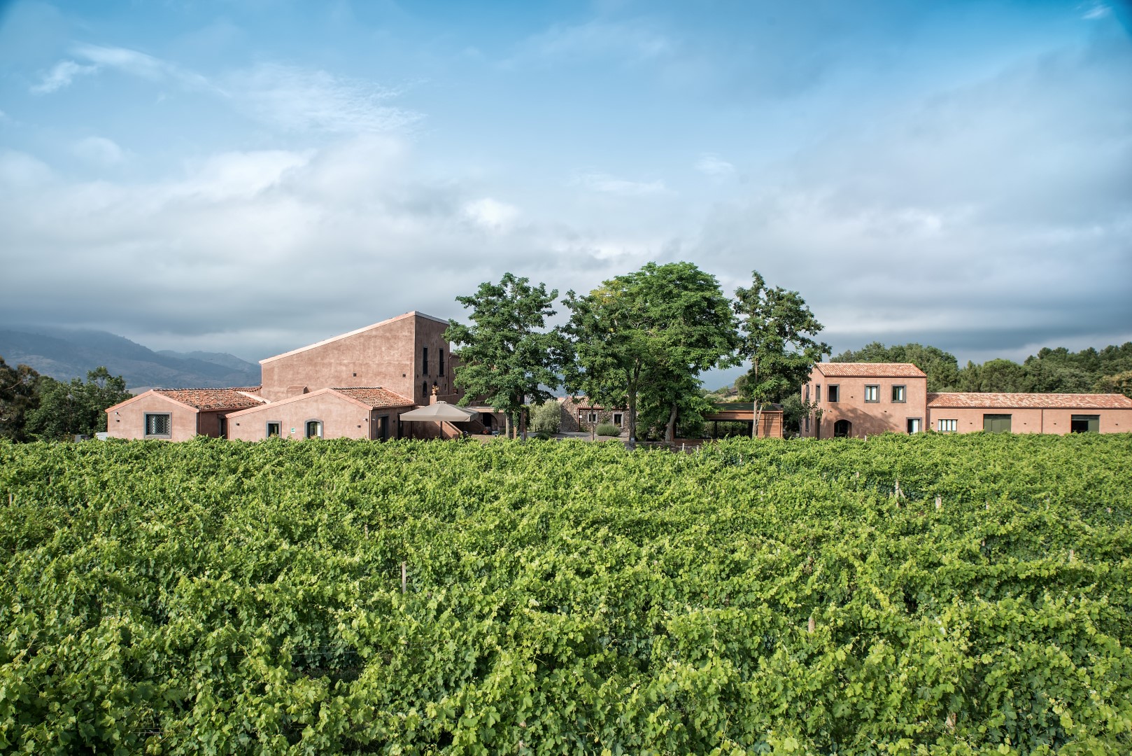 Tenuta e vigneti di Cavanera - Firriato