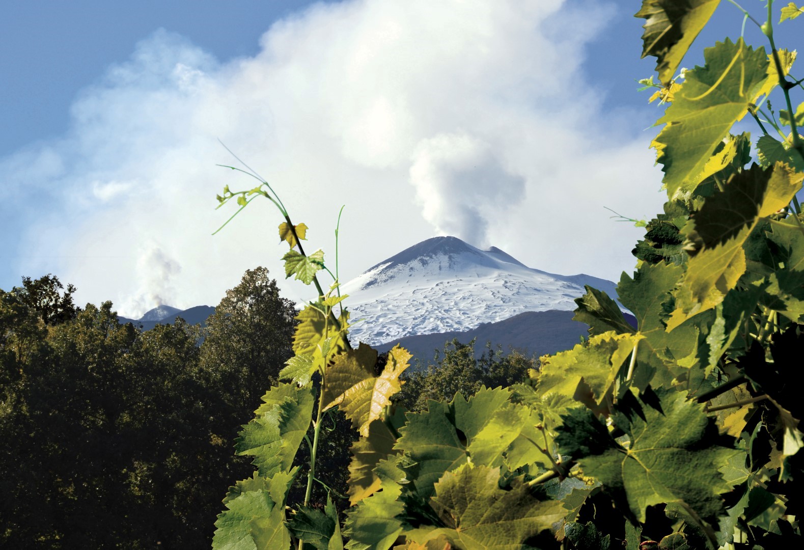 vigneti-Etna