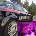 FRANCAVILLA DI SICILIA (ME): CONTROLLI ANTIDROGA DEI CARABINIERI, UN ARRESTO E UNA DENUNCIA. SEQUESTRATA DROGA E 16 PIANTE DI CANNABIS