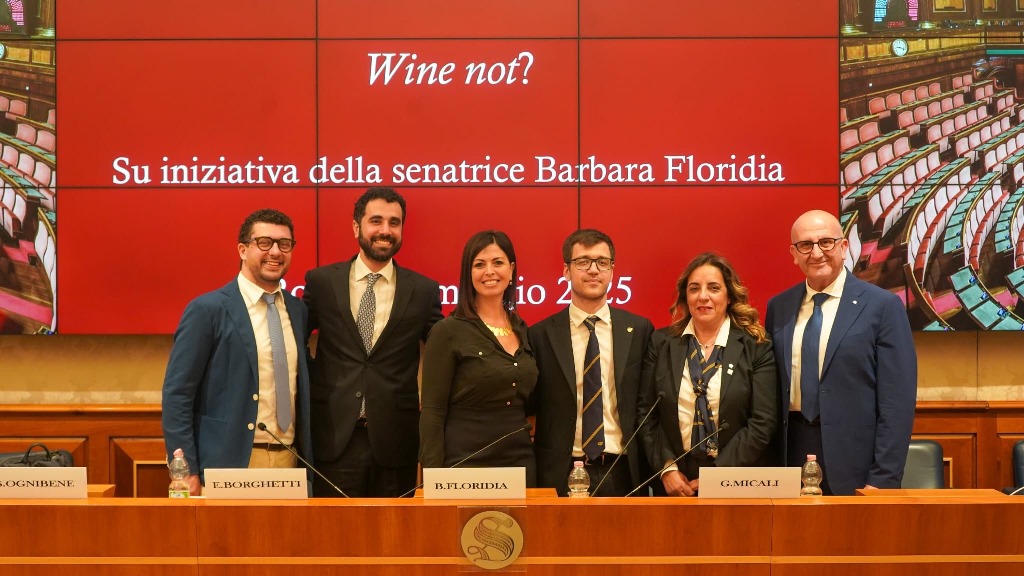 Ognibene, Borghetti, Floridia, Micali, Barbagallo, Di Giovanna
