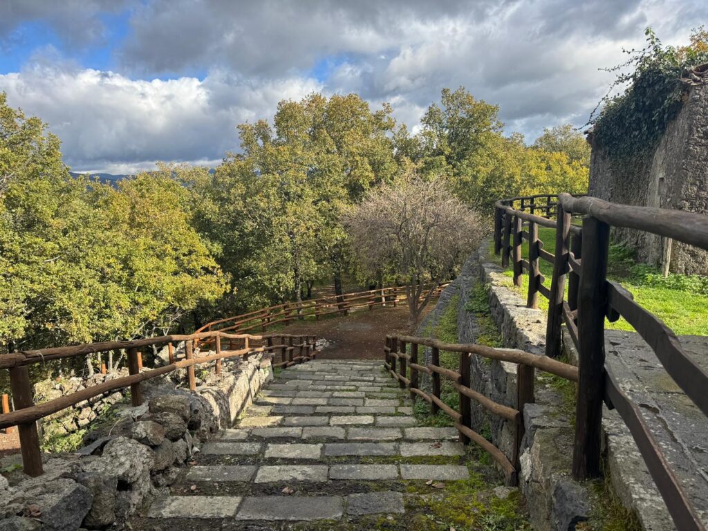 Sciarone Randazzo (2)