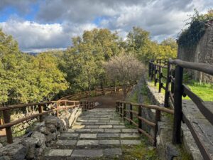 Sciarone Randazzo (2)