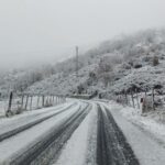 Nebrodi emergenza neve