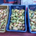 SICILIA – Le Sagre di Qualità. Nel catanese le Pro Loco conquistano vari riconoscimenti