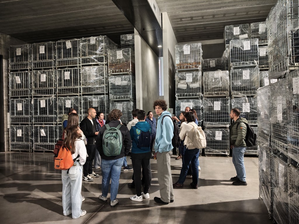 incontro con studenti in cantina(1)