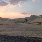 Grani Antichi Siciliani, dalla Rete d’Impresa al riconoscimento IGP