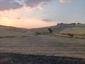 tipico paesaggio Nisseno